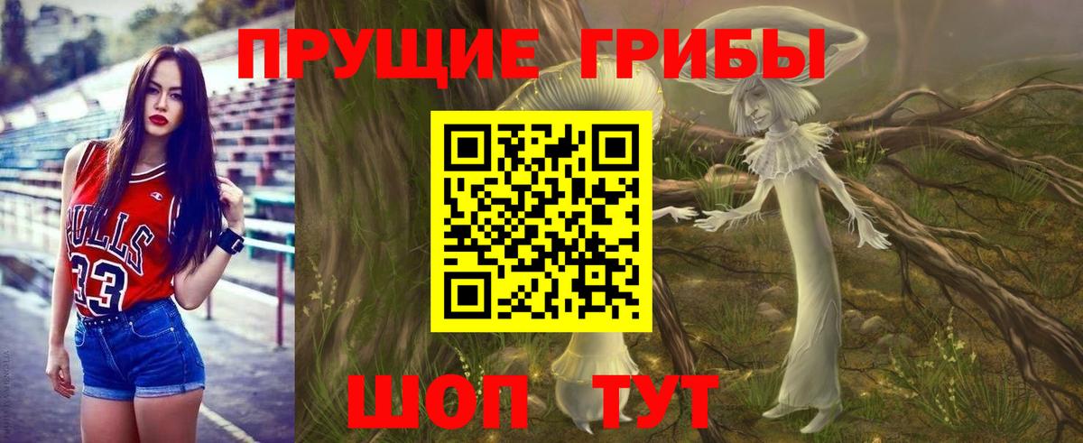 Галлюциногенные грибы мицелий Санкт-Петербург